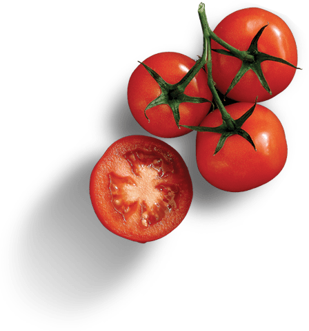 Tomato Image